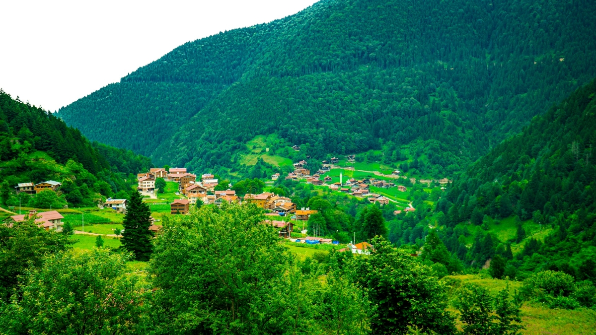youssef-mohamed-FOD1-lAix_Y-unsplash youssef-mohamed-FOD1-lAix_Y-unsplash